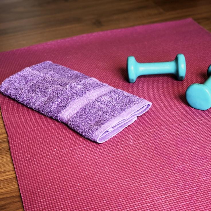 Professional gym with weight equipment